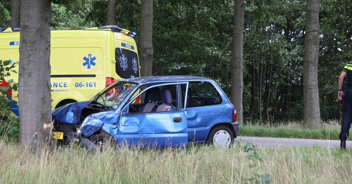 Auto botst op boom in Zutphen bestuurder naar het ziekenhuis Zutphen