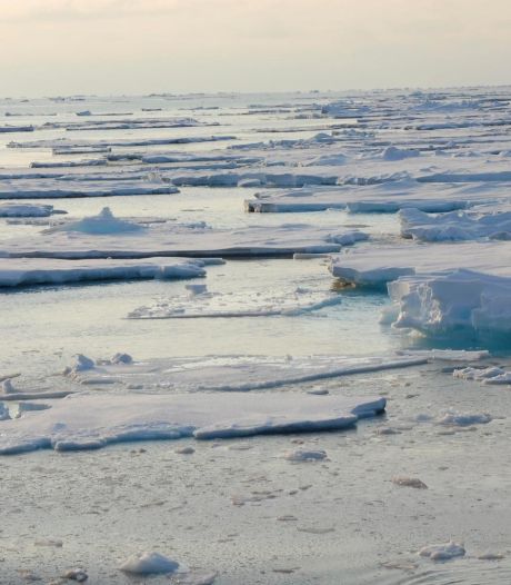 Une tonne d'émissions de CO2 = 3 m² de glace arctique en moins