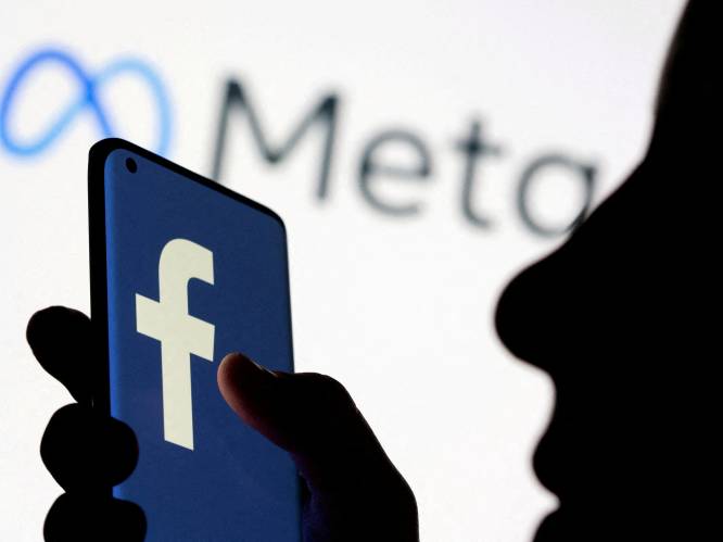 Moederbedrijf Facebook pakt bedrijven aan om online spionage