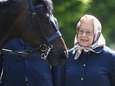 Queen Elizabeth zoekt een paardenverzorger (en die kan 25.000 euro per jaar verdienen)