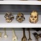De in Zuid-Afrika gevonden oermensensoort sediba is evolutionair op een zijspoor gezet
