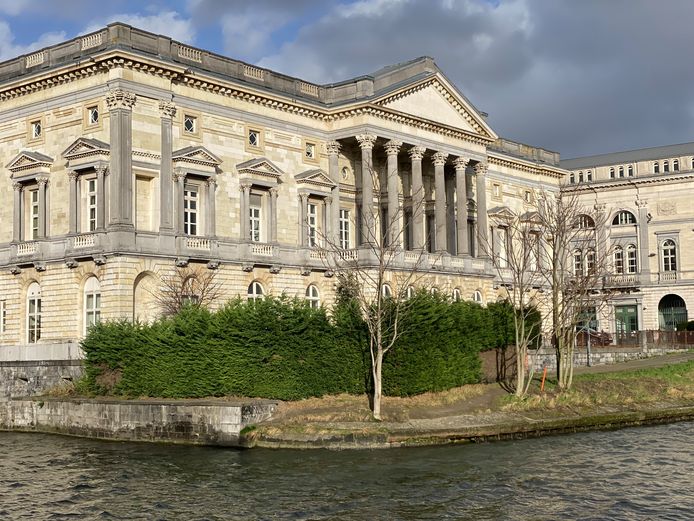 Boom die volledig werd ingepakt met zilverpapier achter oud