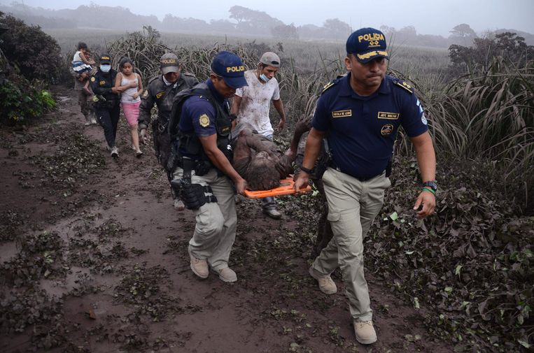 Politieofficieren dragen een gewonde man weg na de uitbarsting van de Fuego-vulkaan. Beeld AFP