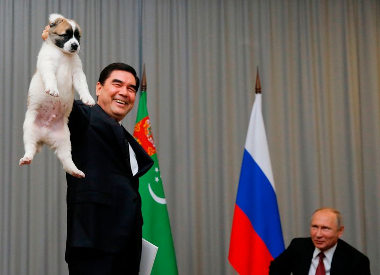 Vladimir Putin krijgt een lokale hond cadeau van de Turkmeense president Gurbanguly Berdimuhamedov. Beeld AFP