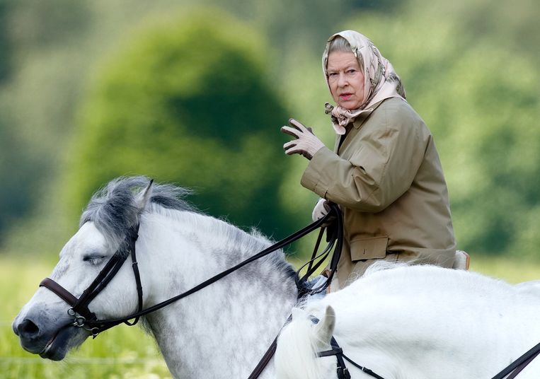 Déze royal neemt de racepaarden van koningin Elizabeth over Beeld Getty Images