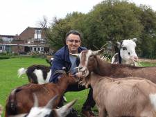 Kinderboerderij Tanthof niet direct negatief over rapport mega-school in het gebied
