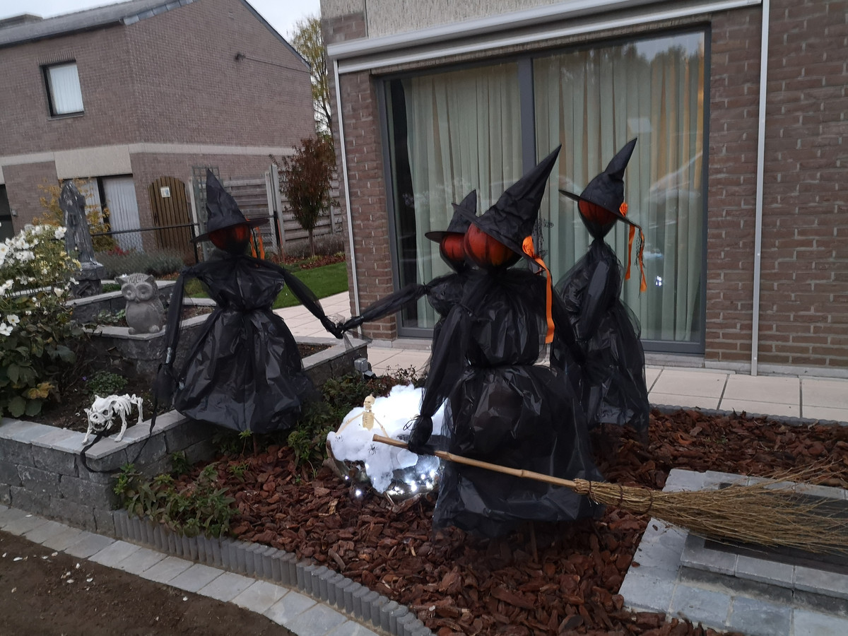 Keizer Ondoorzichtig Ongeautoriseerd FOTOREEKS. Zo vieren jullie Halloween! | Foto | hln.be