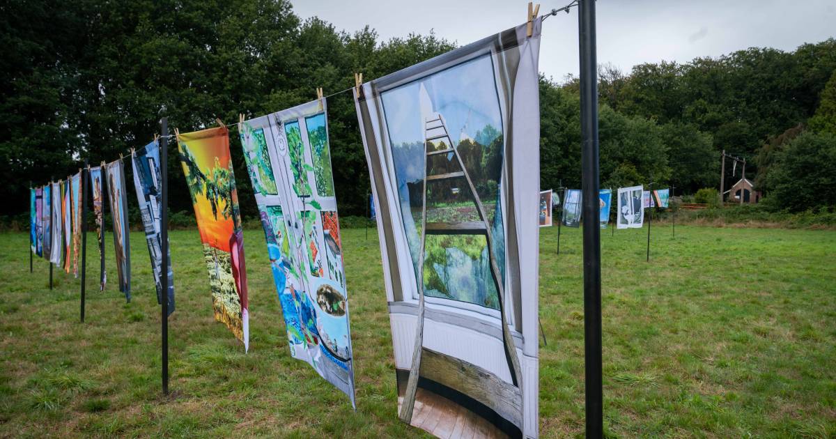 Wapperende kunst in Ellecoms weiland, bij gebrek aan een overdekte expositieruimte - De Gelderlander