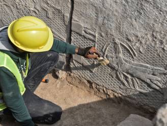 Archeologen graven 2.700 jaar oude rotstekeningen op in Irak