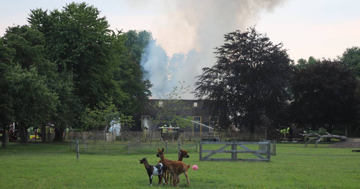 Grote brand in Welsum, rietgedekte woning brandt volledig uit