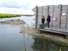 Tweede fase Marker Wadden laat op zich wachten: ‘Heel erg jammer’