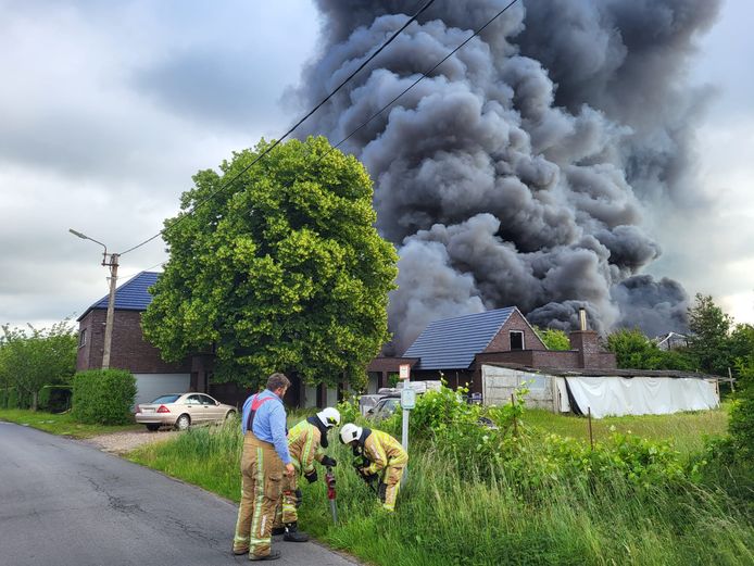 Wetteren: De brand gaat gepaard met een hevige rookontwikkeling.