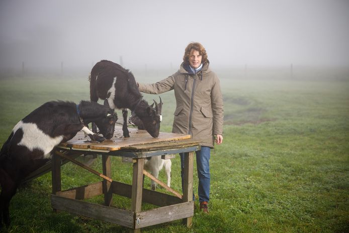 Elsbeth Stassen tussen haar geiten.