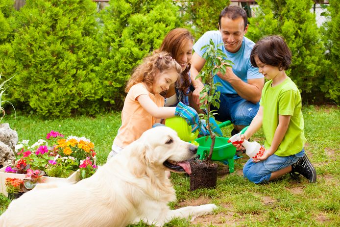 Je tuin diervriendelijk inrichten? Onze expert legt uit welke planten je best vermijdt en welke wél goed zijn voor je kat of hond.