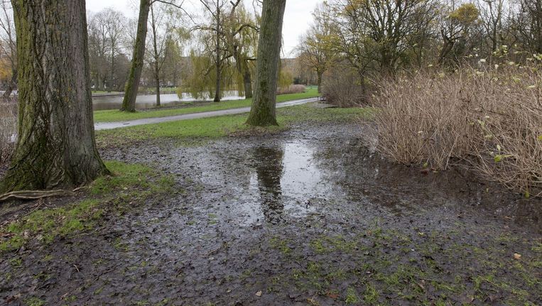 Het Oosterpark is volgens omwonenden te kwetsbaar voor de 1 mei-viering van het FNV Beeld Roy del Vecchio