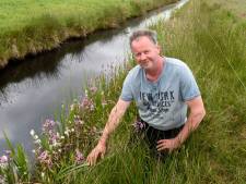 Dit plantje kan niet tegen stikstof, tóch groeit het bij veehouderij: ‘Landbouw en natuur kunnen prima naast elkaar’