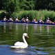 Met vernieuwde boot moet Holland Acht nog harder gaan, maar EK komt te vroeg