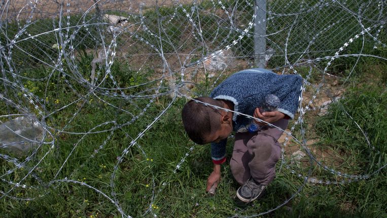 Een jongen verzamelt lege blikken traangas na een protest in een vluchtelingenkamp aan de Griekse grens met Macedonië. Beeld EPA