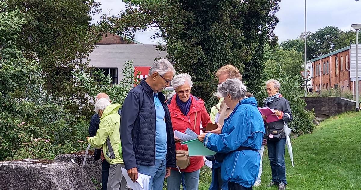 De kracht van de Bergse Actieve