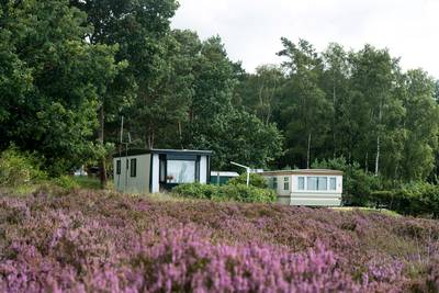 Slapen tussen de herten op Veluwe is  alleen voor 'vliegers'