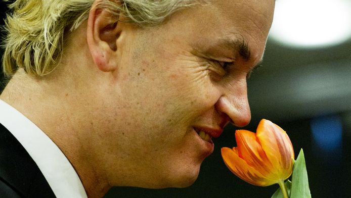 Geert Wilders ruikt aan de Geert Wilders-tulp. ©ANP