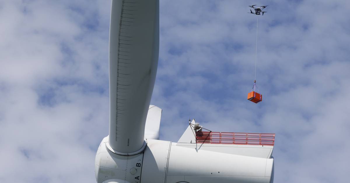 Cassatieberoep tegen windmolens in Westkapelle ontvankelijk verklaard | Knokke-Heist