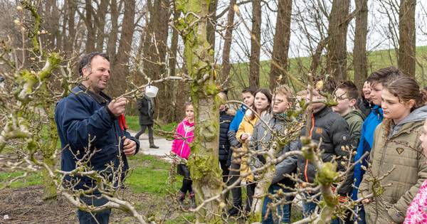 In de boomgaard van Houtekamer stikt het van de verrassingen