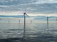 Hoe er meer windmolens op de Noordzee gebouwd worden zonder de natuur in de weg te zitten<br>