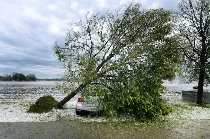 Een door een storm ontwortelde boom ligt boven een auto op de parkeerplaats van een bejaardentehuis in Kissing, Duitsland.