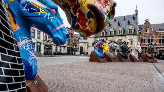 Veiling Paardenkracht voor goede doel gigantisch succes, maar nu houdt stad ook deel voor zichzelf: derde van opbrengst voor “recuperatie gemaakte onkosten”
