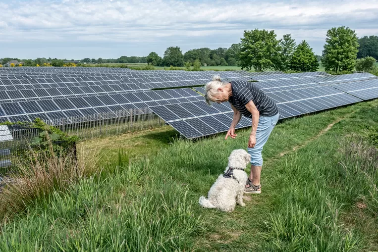 Energie oogsten uit zon kan Nederland nu, het is tijd aan het verdienmodel te gaan sleutelen | De Volkskrant