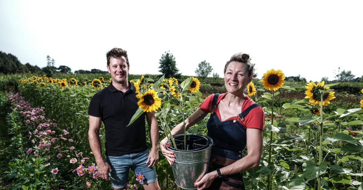 De pluktuin van Maria en Bas is hot: ‘Het lijkt wel of heel Nederland de Achterhoek heeft ontdekt!’