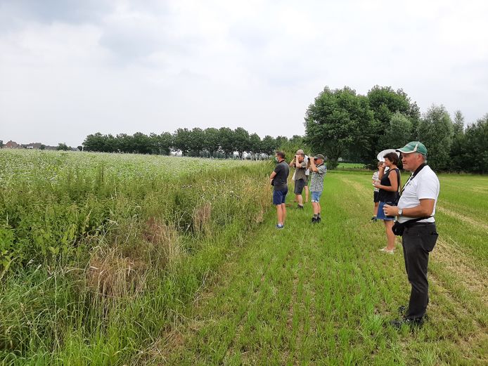 De Vlinderwerkgroep van De Torenvalk tijdens een bezoek aan het natuurgebied in Kanegem