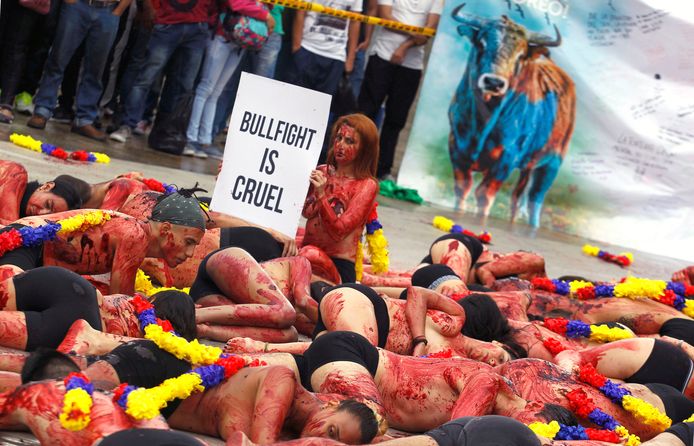 Colombiaanse dierenactivisten bezetten een plein in Medellin om hun afschuw te tonen van stierengevechten. Foto Fredy Builes