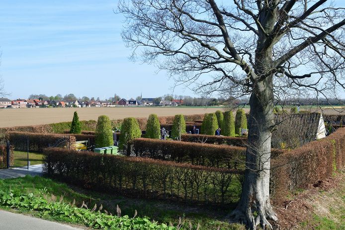 De rustieke begraafplaats, bezien vanaf de wat hoger gelegen Zeelandweg-Oost bij De Heen. Hagen en beuken beschermen de 156 graven.