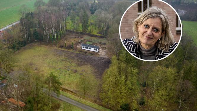 Op dit terrein in Eesveen van raadslid Elgersma komen tiny houses: ‘Ik wil erf openstellen, maar buren willen rust houden’