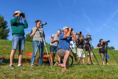 Een ontbijt met een heel bijzonder uitzicht: 25 jaar oeverzwaluwenwand in natuurgebied Struikwaard