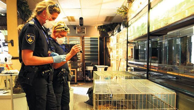 eigenaar dierenwinkel cel in om 140 dode dieren rotterdam ad nl