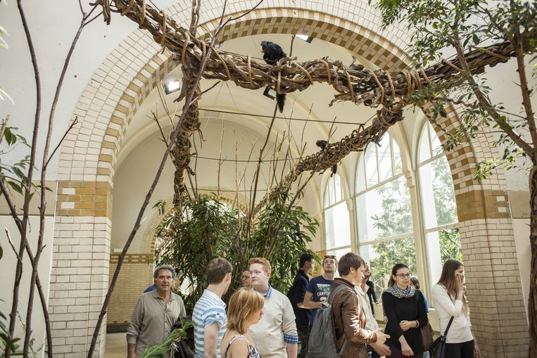 het nieuwe artis geeft dieren de ruimte het parool
