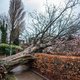 Vanaf vrijdagmiddag code oranje vanwege storm Eunice