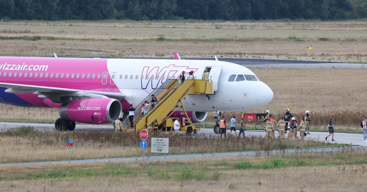 Vliegtuig breekt opstijgen op Eindhoven Airport af na botsing met vogel.