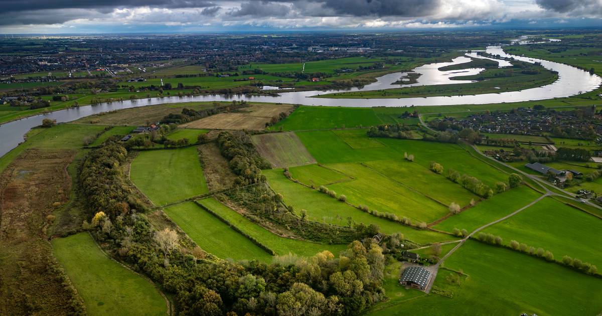Dit bijzondere bos bij Zalk krijgt een uitbreiding: ‘Geven het bos de ruimte’