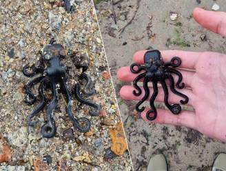 13-jarige Brit vindt zeldzame Lego-octopus, 27 jaar nadat container met miljoenen stukjes overboord viel
