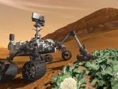 Bloemkolen telen op Mars lijkt futuristisch, maar in Nijverdal wordt uitgelegd dat het geen sprookje is 