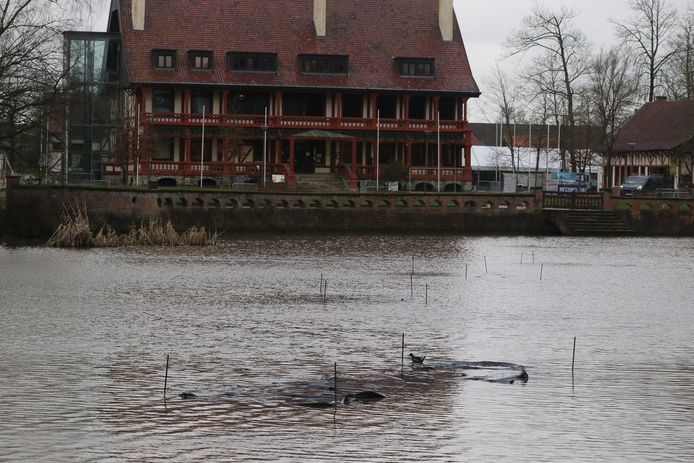 De wandelaars doen het kasteeldomein aan en wandelen langs het museum en de grote vijver.