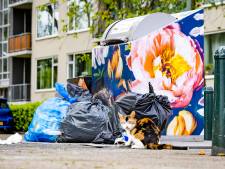 Ondergrondse afvalcontainers veranderen in bovengrondse: ‘Eén groot feest voor vogels en ratten’