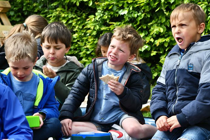 Superfood voor jonge helden in SBS De Octopus.