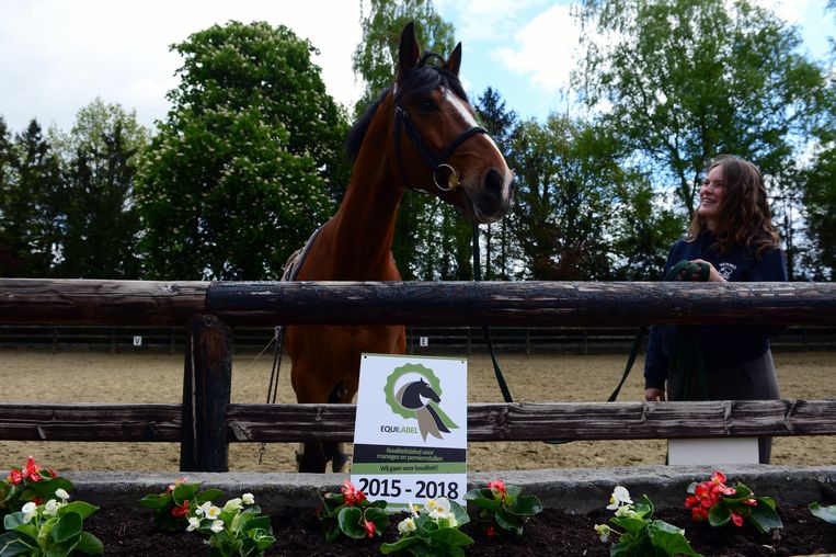 Manege Meerdaalhof haalt eerste kwaliteitslabel binnen OudHeverlee