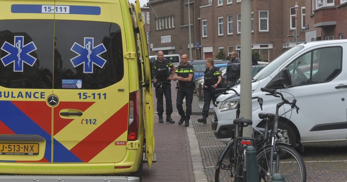 Lichtgewonde bij steekpartij in Laak .