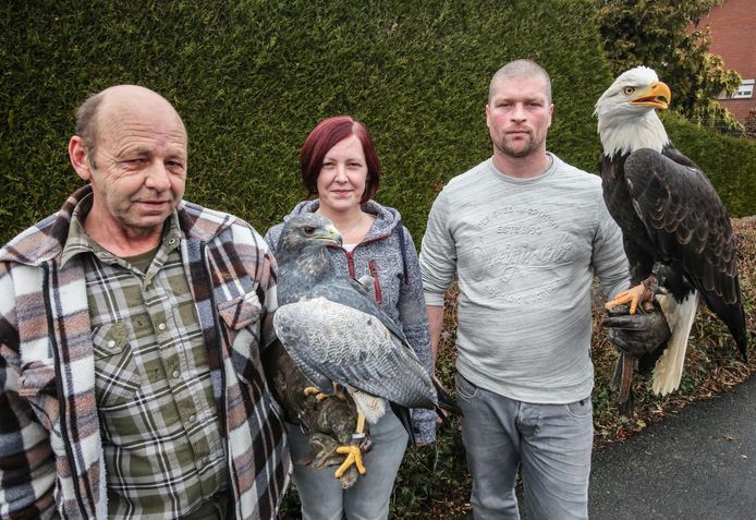 Patrick Lorez met een Chili-arend en Virginie Lorez en Davy Deleersnijder met een Amerikaanse zeearend.